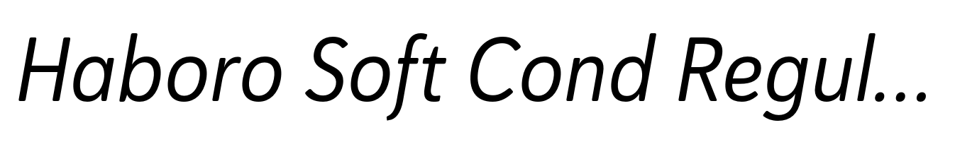 Haboro Soft Cond Regular Italic